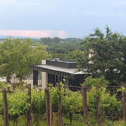 Terra Toscana Apartman Sarvar Luaran gambar