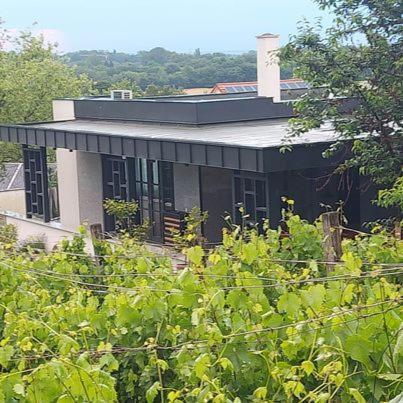 Terra Toscana Apartman Sarvar Luaran gambar